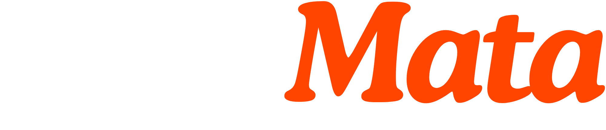 InfoMasta logo